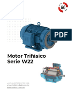 Motor Trifásico W22 - Alto rendimiento y bajo costo