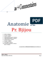 1_Anatomie S2 Prof Bjijou 2 