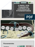 O Papel Dos Fungos No Controle de Fitonematoides