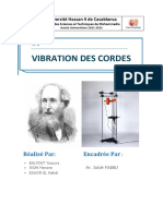 Vibration Des Cordes