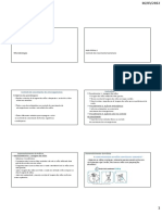 Microbiologia: Aula Prática 2 Controle de Crescimento Bacteriano