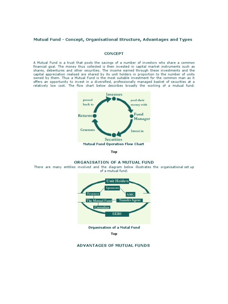 Mutual Fund Overview: Types & Benefits | PDF