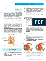 Resumo P1 Anato - Compressed