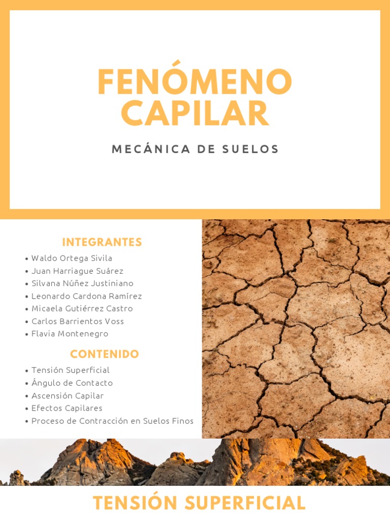 Fenómeno Capilar | PDF | Tensión superficial | Líquidos