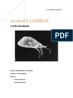 Gardia Lamblia Microbiología