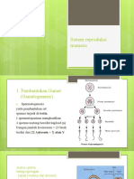 Sistem Reproduksi