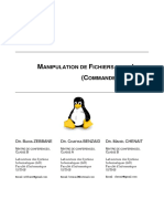 Manipulation Fichiers Commandes-1-7