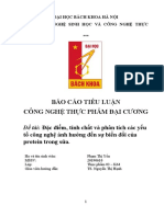 tiệu luận CNTP ĐC