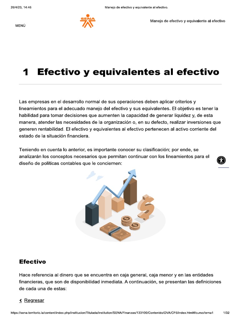 Efectivo y Equivalentes Al Efectivo | PDF