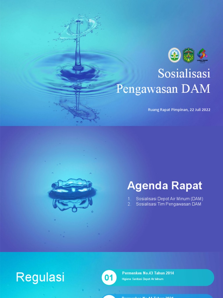 Damiu | PDF
