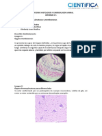 Informes 5 - 9 (Guia Lab 2) .Docx - Compressed