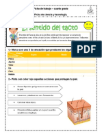 Ficha de Ciencia y Tecnologia El Sentido Del Tacto Cuarto Grado