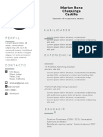 Nueva Plantilla Curriculum Vitae Gris Foto Lado