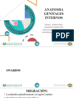 Diapositivas Genitales Internos Exposicion 1
