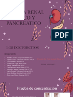 Perfil Renal Hepatico y Pancreatico (1)