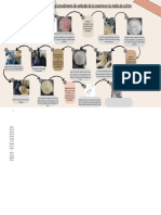 Esquematización Del Proceso de Preparación de Los Medios de Cultivo