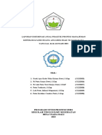 LAPORAN DESIMINASI AWAL Rumah Sakit Tk. II Udayana NEW