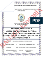 Reporte Escrito (Casos de Monopolio Natural) - Organizaciòn Industrial - Luis