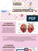 Cap 13 Sistema Cardiovascular Histologia