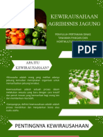 Kewirausahaan Agribisnis Jagung