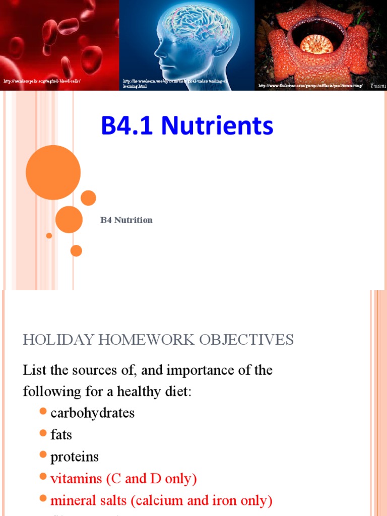 Lesson 1 - Nutrients 2 | PDF | Carbohydrates | Foods
