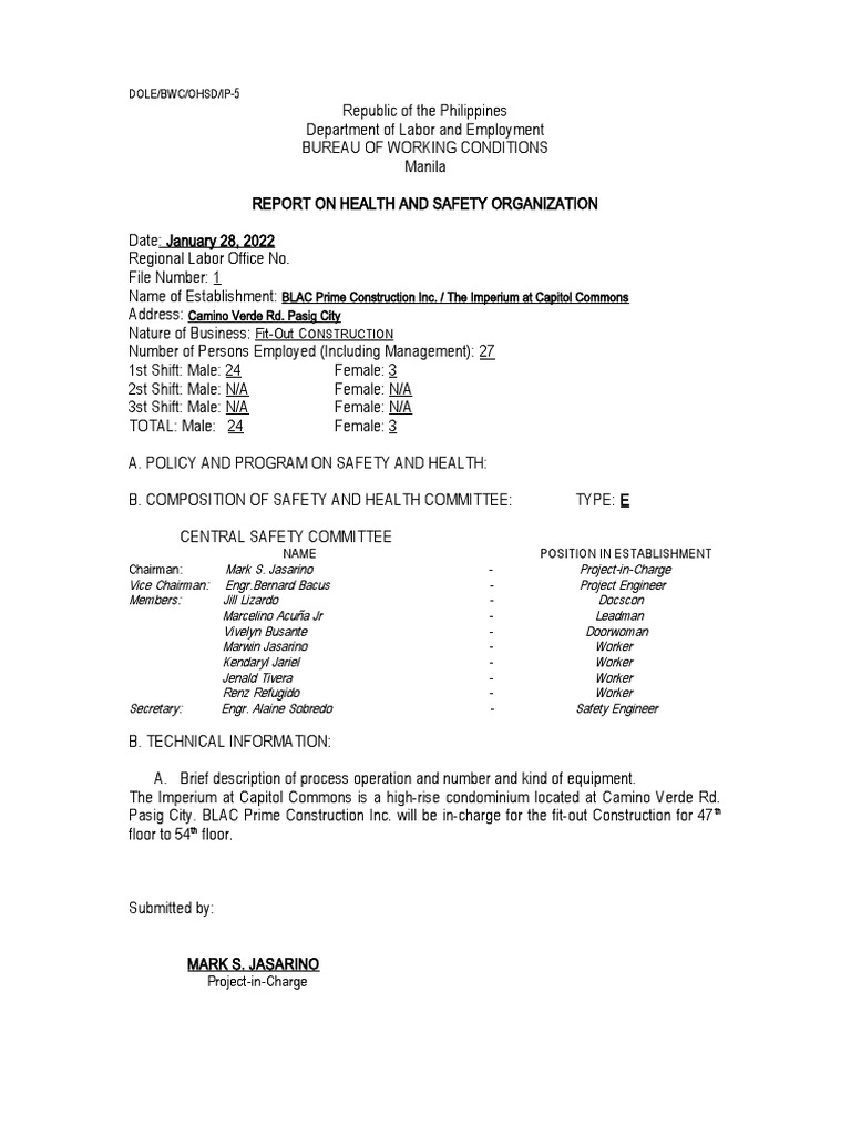 RSO-Report On Health and Safety Organization | PDF | Economies | Labor ...