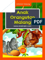 Anak Orangutan Malang