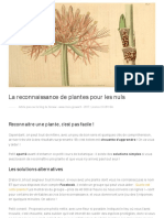 Reco Plantes PDF