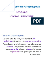 Fluidez Semantica-Imagen