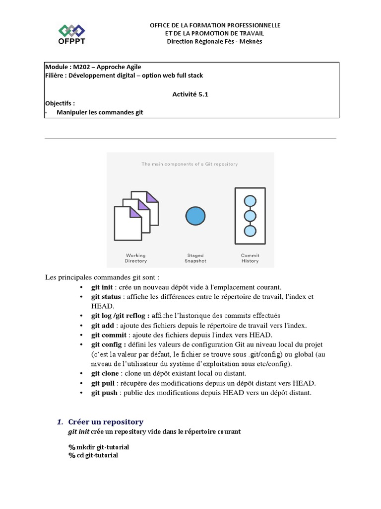 Commandes Git pour Développeurs Web | PDF | Logiciel système | Génie ...