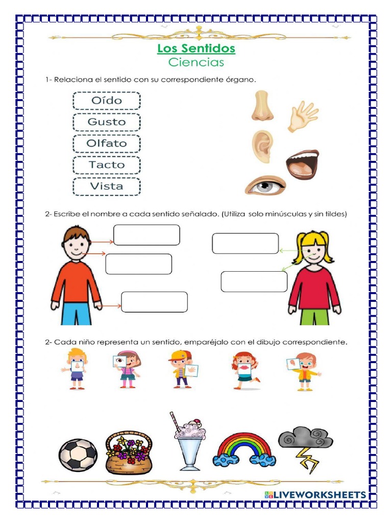 Los Cinco Sentidos Pdf