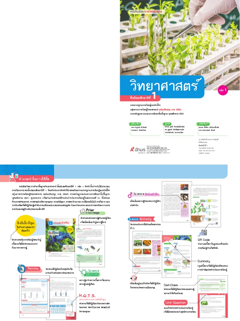 Example | PDF