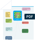 Mapa Mental Mamíferos