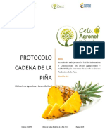 42 Act Protocolo Cadena de Piña V 2 0 - 18 Dic
