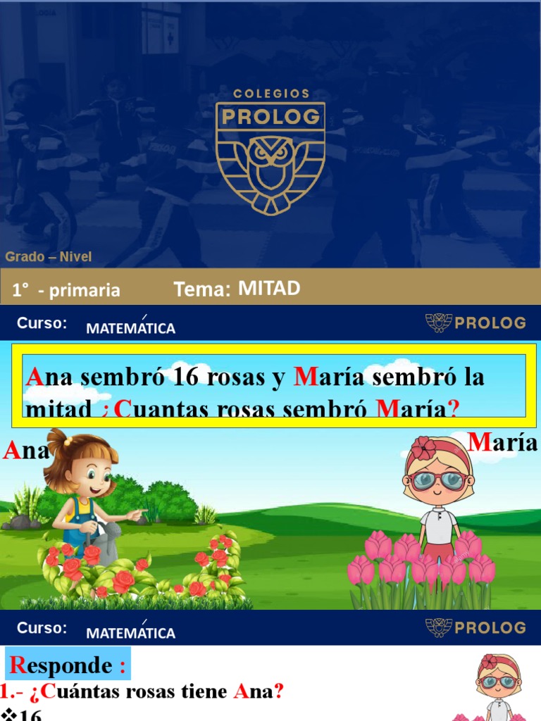 Noción De Mitad Pdf