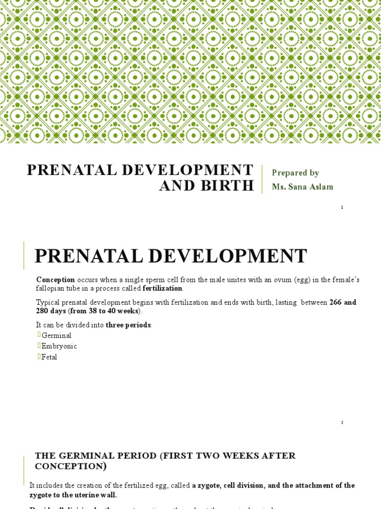 Prenatal Development and Birth: Prepared by Ms. Sana Aslam | PDF ...