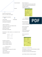 Aula 3 PDF