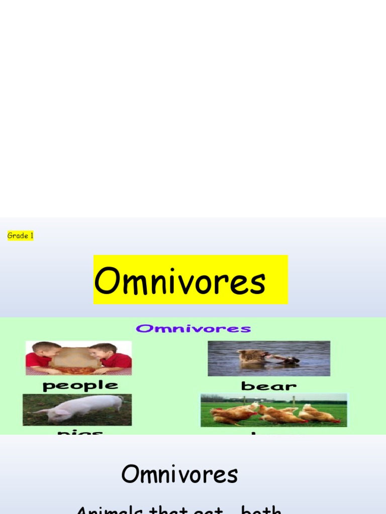 Plants and Animals Live Together (Omnivores) PDF