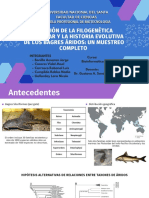 Filogenética Molecular e Historia Evolutiva de Los Bagres Áridos Revisado Una Muestra Completa