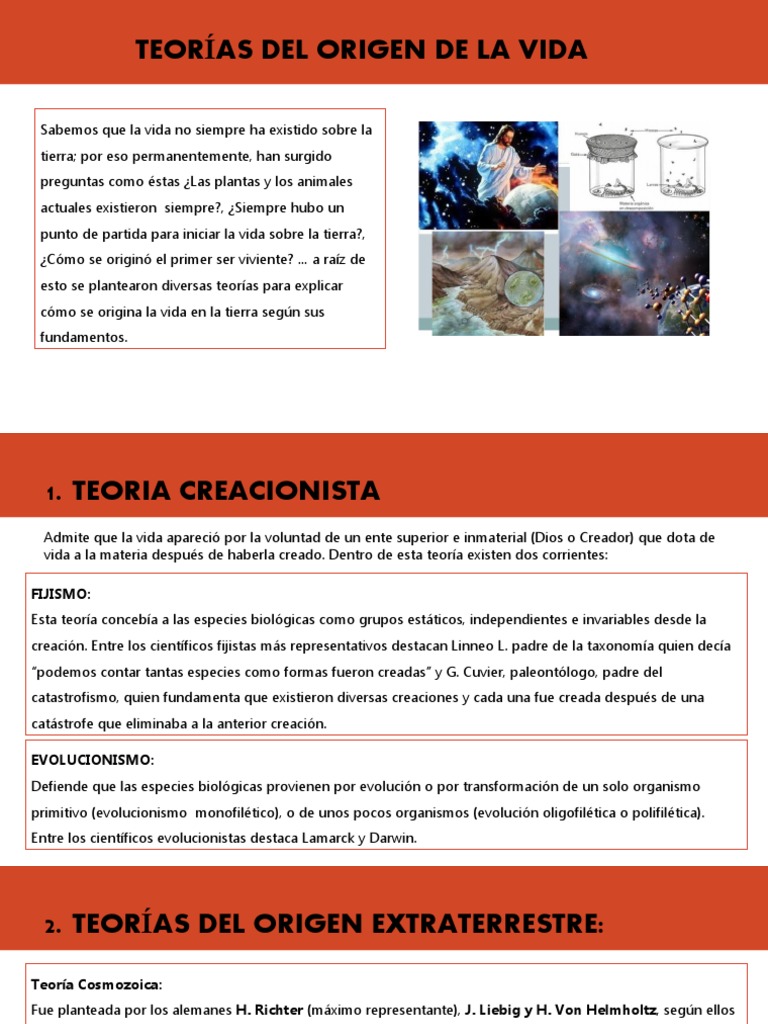 Teorías del Origen de la Vida | PDF | Naturaleza | Ciencias fisicas