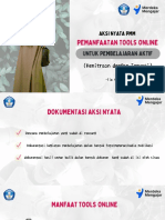 Aksinya PMM Online Tool