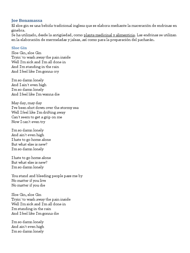 Joe BonamassaSloe Gin PDF