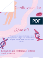 Sistema Cardiovascular - Neo