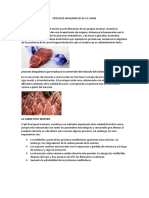 Procesos Bioquimicos de La Carne