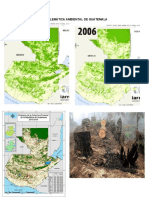 Problemática Ambiental de Guatemala IMAGENES