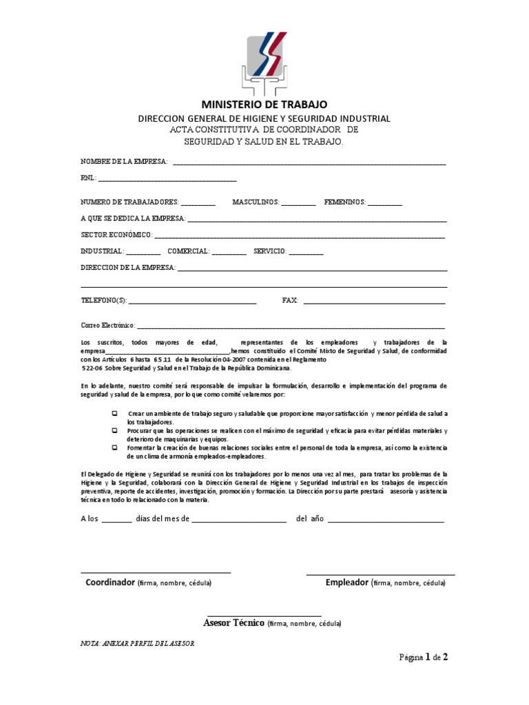 Acta Constitutiva Comité de Seguridad y Salud | PDF | Economias