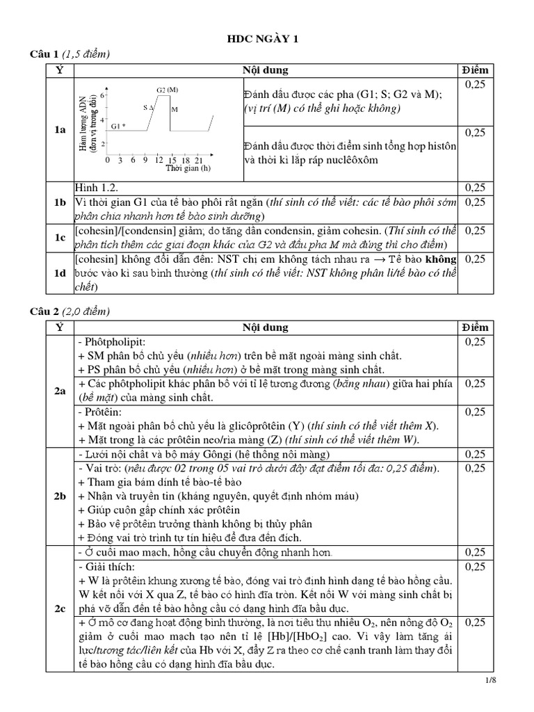 HDC - Chinh Thuc - Ngay 1 2 | PDF