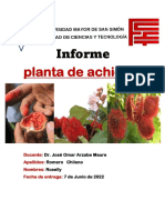 Planta de Achiote-Roselly Romero Chileno