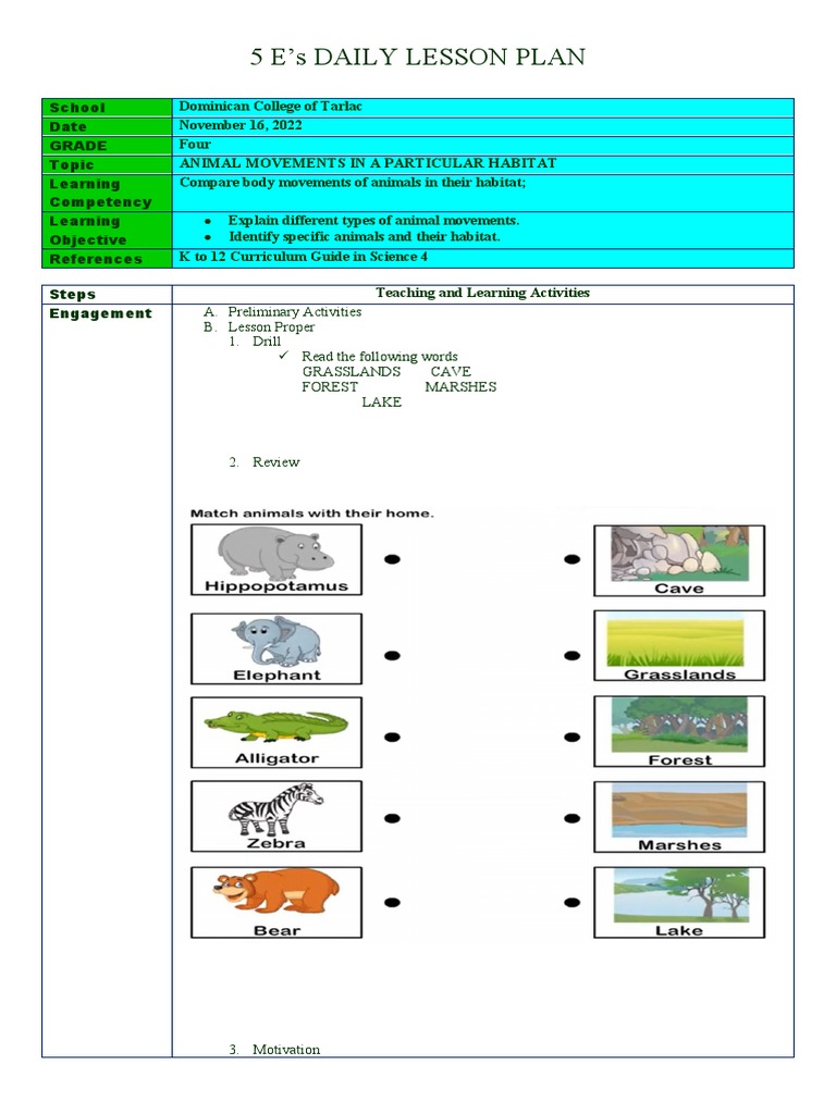 COT SCIENCE 5ESExplicit With Differentiated Instruction Copy 1 PDF