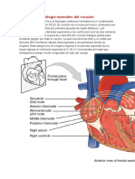 ACLS RITMOS e Interpretacion